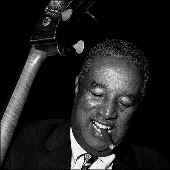 雷維史達-Ray Brown 60x50cm