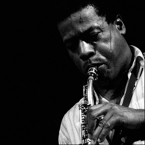 雷維史達-Wayne Shorter 60x50cm