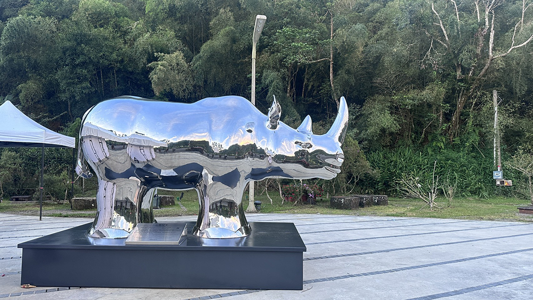 元寶犀牛近景，鏡面反射天空與樹影